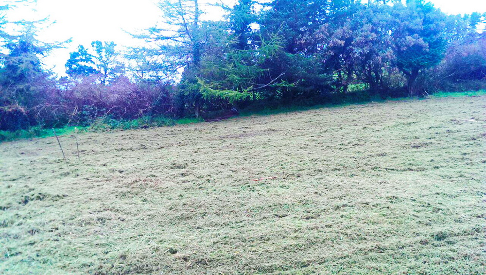 50m² Jogos Kupolas Ø8m | Hagal ūkis Coomleagh, Airija