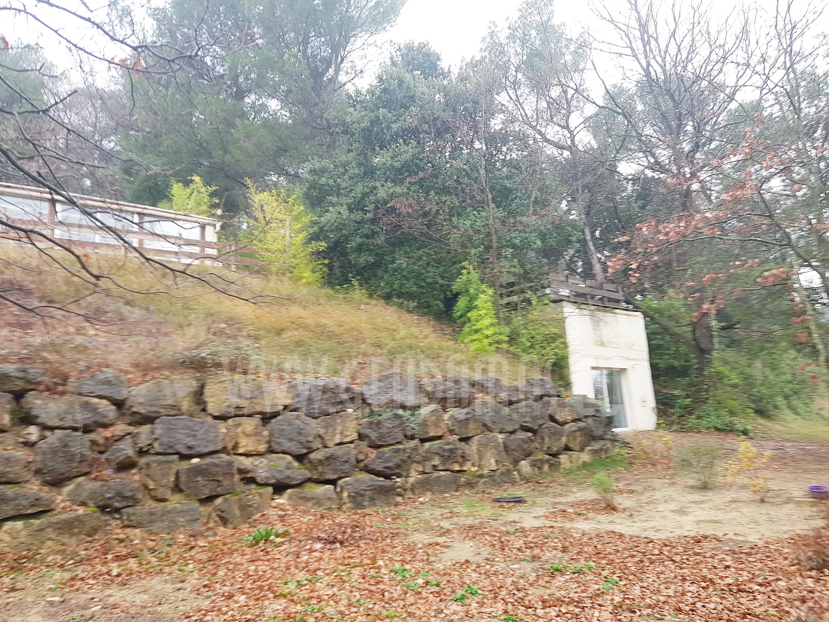 20m² Glamping Maisons Bulles™ night Panoramic bubble Ø5m