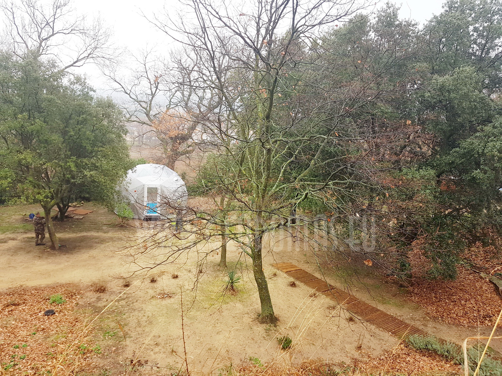 20m² Glamping Maisons Bulles™ night Panoramic bubble Ø5m