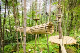 7m2 Ø3m Crystal Dome for Wild Nature | Treehouse Village