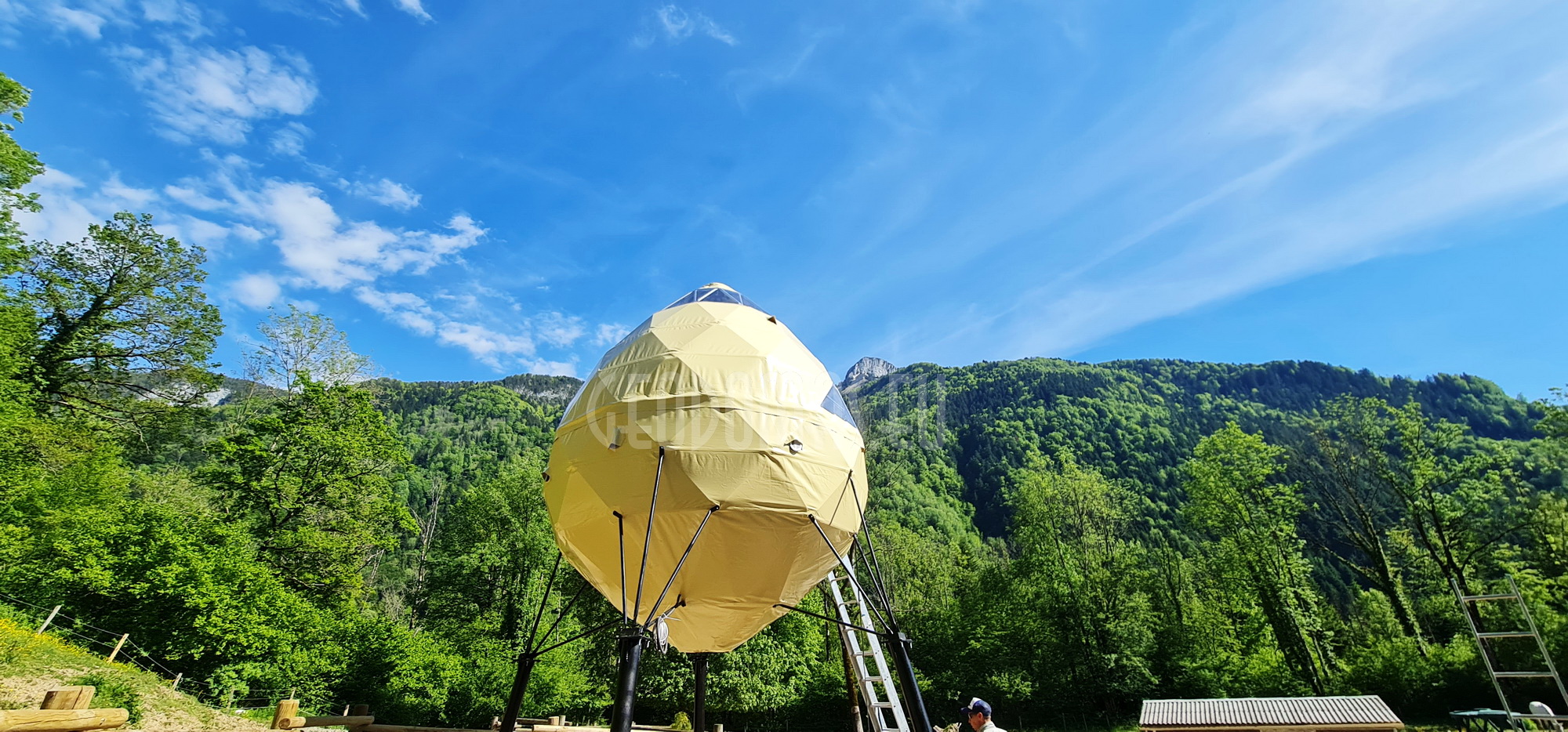 Au_Bois_du_Moulin_geodomas_crystal_tree_19
