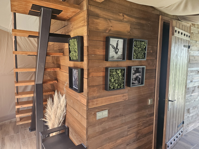 35m2 x4set. VALLEY OF STARS RESORT Ø6,7m | Sližiai, Lithuania